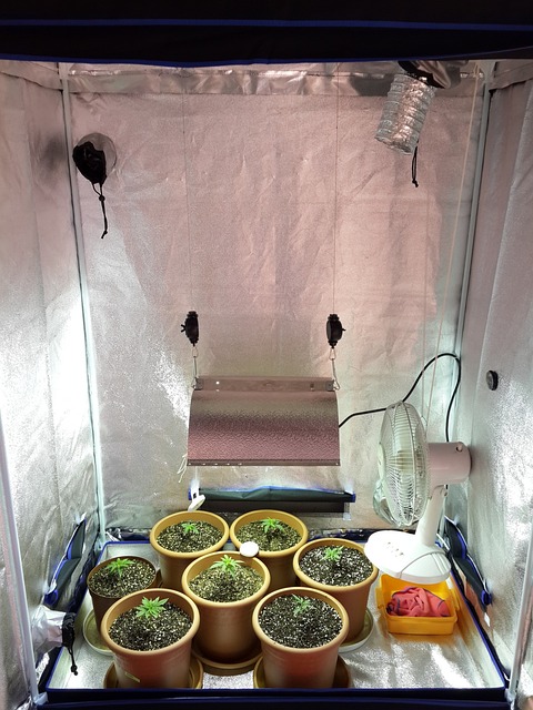 Mars Grow Tent