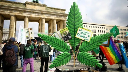 German law allows the cultivation of cannabis and cultivation techniques